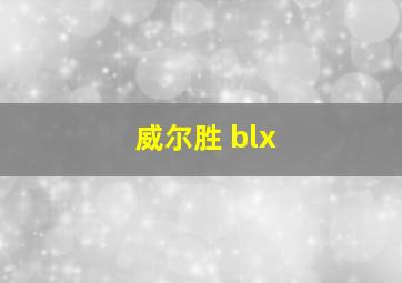 威尔胜 blx